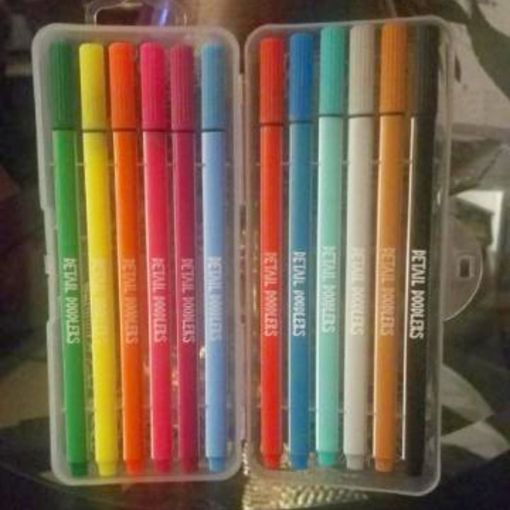 Detail Doodlers Felt Tip Markers, Pack of 12, New-in-Box